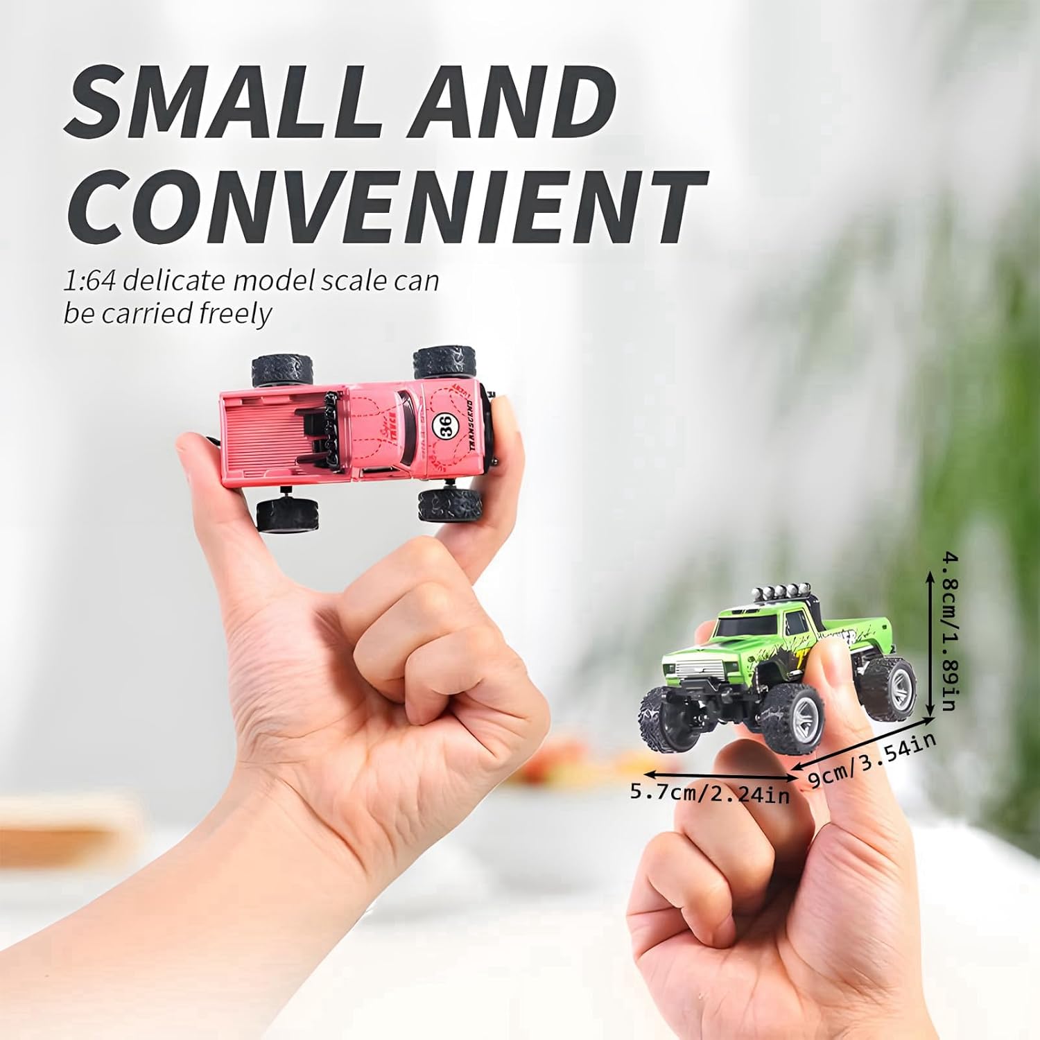 1:64 scale remote control monster truck - TCY02